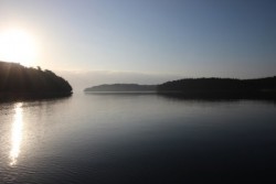 実働15分の釣り