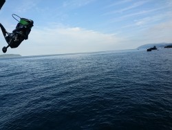 ゴロタで根魚狙い