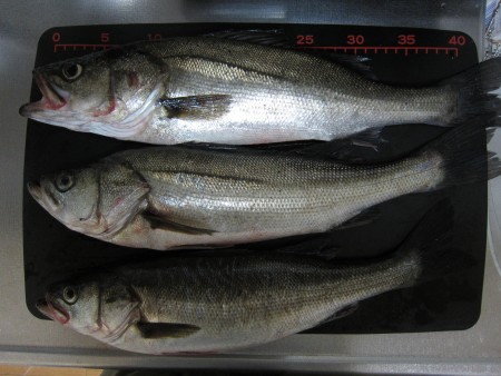 有明埠頭公園2014.10.10