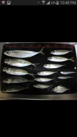 浜荻港釣行2014.9.30