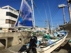 今季初のアオリ