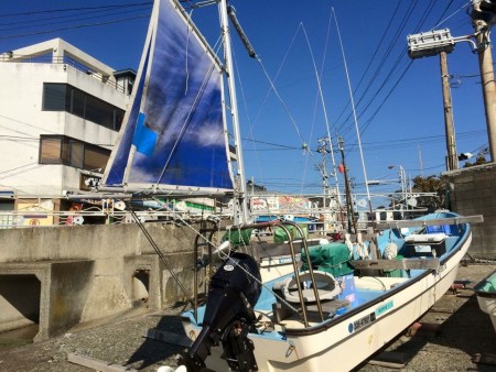 今季初のアオリ