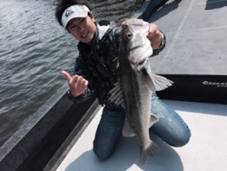 シーマジカル 投稿