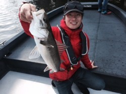 シーマジカル 投稿