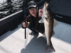 シーマジカル 投稿