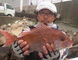 リタックル 投稿