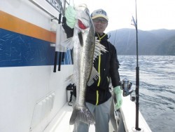 スーパーコーリン丸 投稿 ジギング　ハマチ高活性