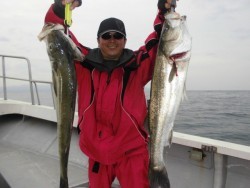 スーパーコーリン丸 投稿 ジギング　ハマチ高活性