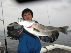 スーパーコーリン丸 投稿 ジギング　ハマチ高活性