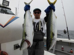 スーパーコーリン丸 投稿ジギング　ブリ、メジロ好調！！