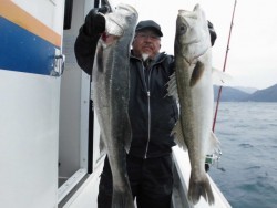 スーパーコーリン丸 投稿ジギング　ブリ、メジロ好調！！