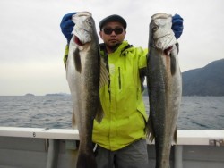 スーパーコーリン丸 投稿ジギング　ブリ、メジロ好調！！