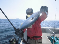 スーパーコーリン丸 投ジギング、ブリ、メジ…