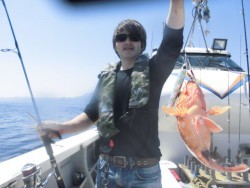 スーパーコーリン丸 投ジギング、ブリ、メジロ