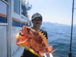 スーパーコーリン丸 投ジギング、ブリ、メジロ