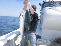 スーパーコーリン丸 投ジギング、ブリ、メジロ