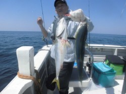 スーパーコーリン丸 投ジギング、ブリ、メジロ