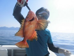 スーパーコーリン丸 投ジギング、ブリ、メジロ
