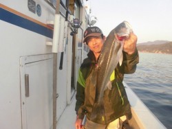 スーパーコーリン丸 投ジギング、ブリ、メジロ