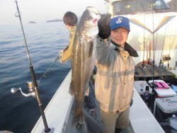 スーパーコーリン丸 投ジギング、ブリ、メジロ