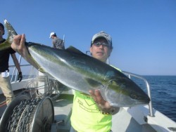 スーパーコーリン丸 投稿ジギングでブリ好調！