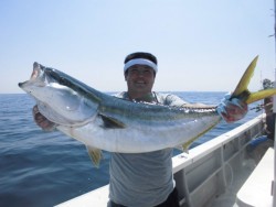 スーパーコーリン丸 投稿ジギングでブリ、メジロ