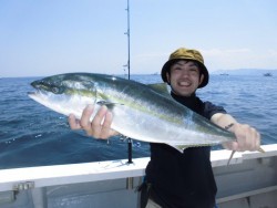 スーパーコーリン丸 投稿ジギングでブリ、メジロ