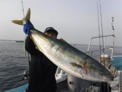 スーパーコーリン丸 投稿ジギングブリ、メジロ爆釣