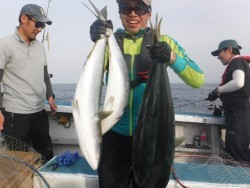 スーパーコーリン丸 投稿ジギングブリ、メジロ爆釣