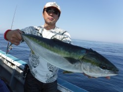 スーパーコーリン丸 投稿ジギングでブリ好調！