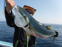 スーパーコーリン丸 投稿ジギングでブリ好調！