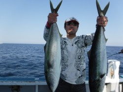 スーパーコーリン丸 投稿ジギングでブリ好調！