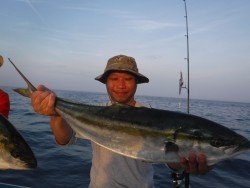 スーパーコーリン丸 投稿ジギングでブリ、メジロ