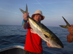 スーパーコーリン丸 投稿ジギングでブリ、メジロ