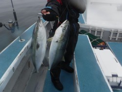 スーパーコーリン丸 投稿ジギング、ブリ、メジロ好調！！