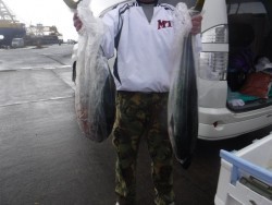 スーパーコーリン丸 投稿ジギング、ブリ、メジロ好調！！