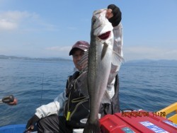 第一あさかぜ 投稿