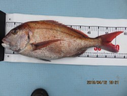 第一あさかぜ 投稿