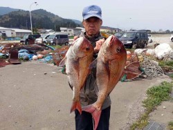 入れ食い開始！