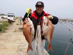 入れ食い開始！