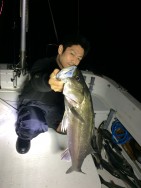 大阪湾 ルアー船 オーシャンズ 投稿