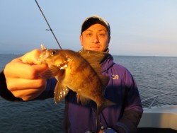 Chase（チェイス） メバル便