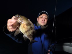 Chase（チェイス） メバル便