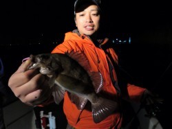 Chase（チェイス） メバル便