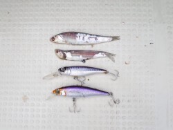 Chase（チェイス） 投稿