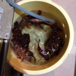 たまには釣船！