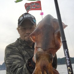 ティップランでの春イカ