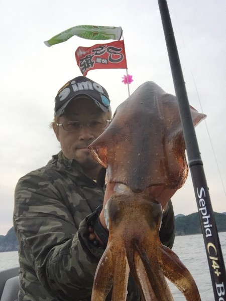 ティップランでの春イカ