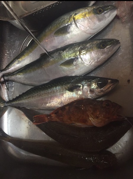 オフショアジギング