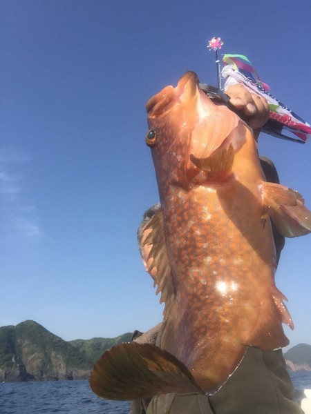 ロックフィッシュ